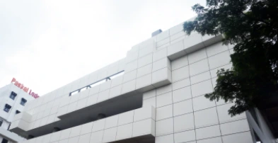 Cladding